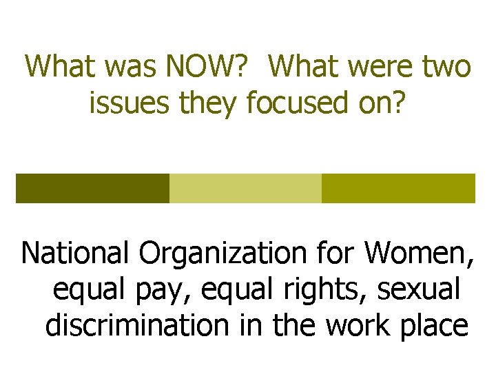 What was NOW? What were two issues they focused on? National Organization for Women,