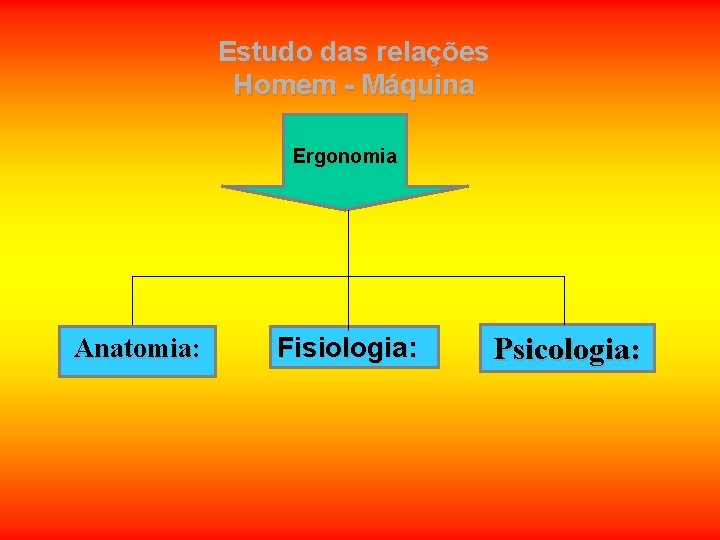 Estudo das relações Homem - Máquina Ergonomia Anatomia: Fisiologia: Psicologia: Estudo das relações Homem - Máquina Ergonomia Anatomia: Fisiologia: Psicologia: