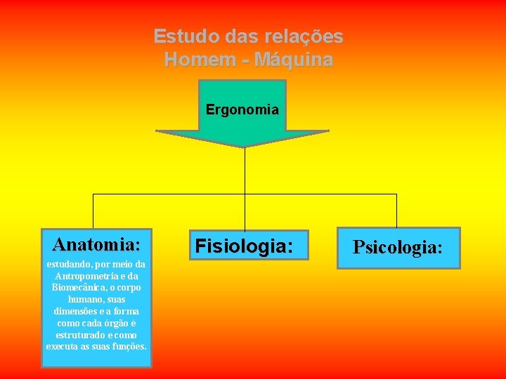 Estudo das relações Homem - Máquina Ergonomia Anatomia: estudando, por meio da Antropometria e Estudo das relações Homem - Máquina Ergonomia Anatomia: estudando, por meio da Antropometria e