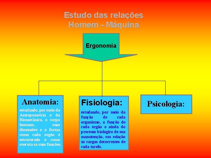 Estudo das relações Homem - Máquina Ergonomia Anatomia: estudando, por meio da Antropometria e Estudo das relações Homem - Máquina Ergonomia Anatomia: estudando, por meio da Antropometria e