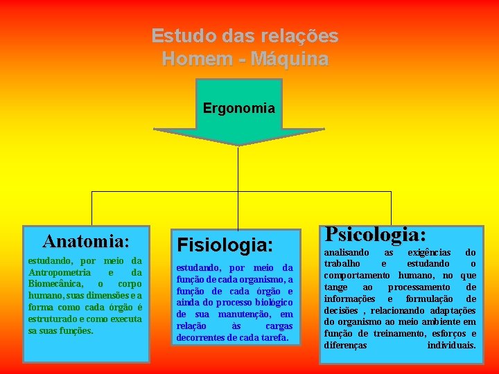 Estudo das relações Homem - Máquina Ergonomia Anatomia: estudando, por meio da Antropometria e Estudo das relações Homem - Máquina Ergonomia Anatomia: estudando, por meio da Antropometria e