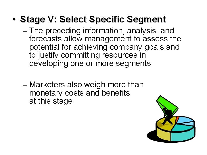  • Stage V: Select Specific Segment – The preceding information, analysis, and forecasts