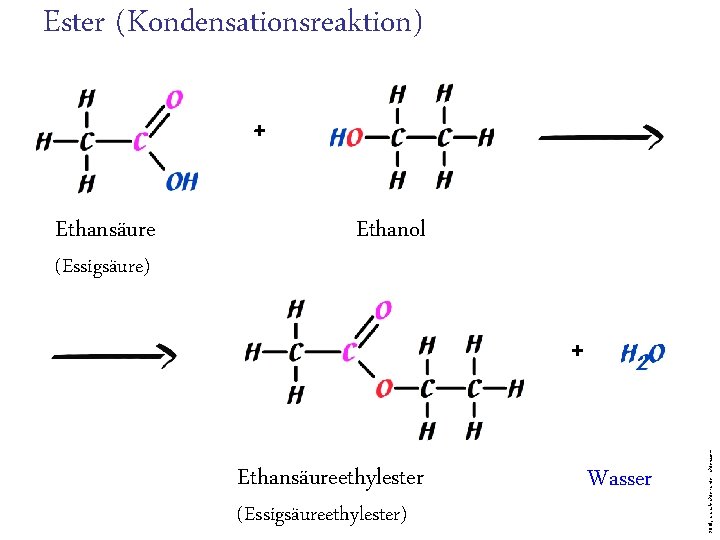 Ester (Kondensationsreaktion) + (Essigsäure) Ethanol + Ethansäureethylester (Essigsäureethylester) Wasser 2018, www. leichter-unterrichten. com Ethansäure