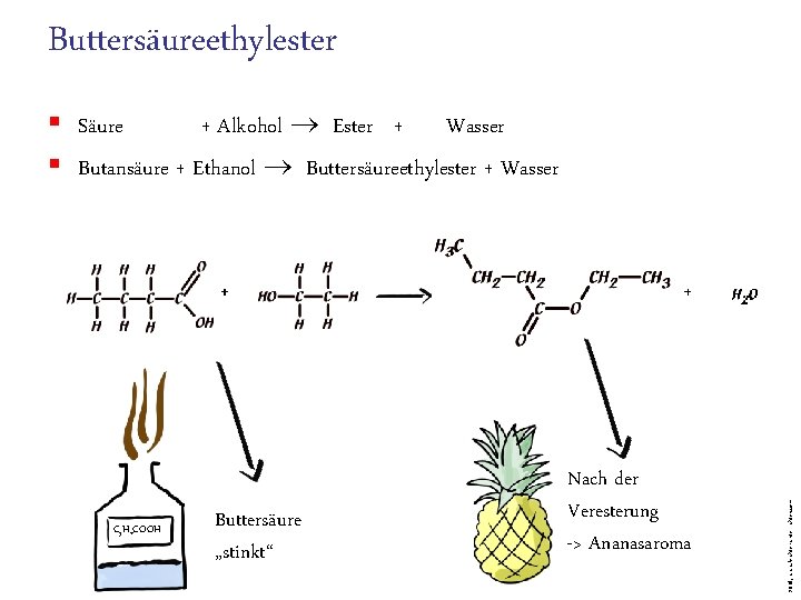 Buttersäureethylester § Säure + Alkohol Ester + Wasser § Butansäure + Ethanol Buttersäureethylester +