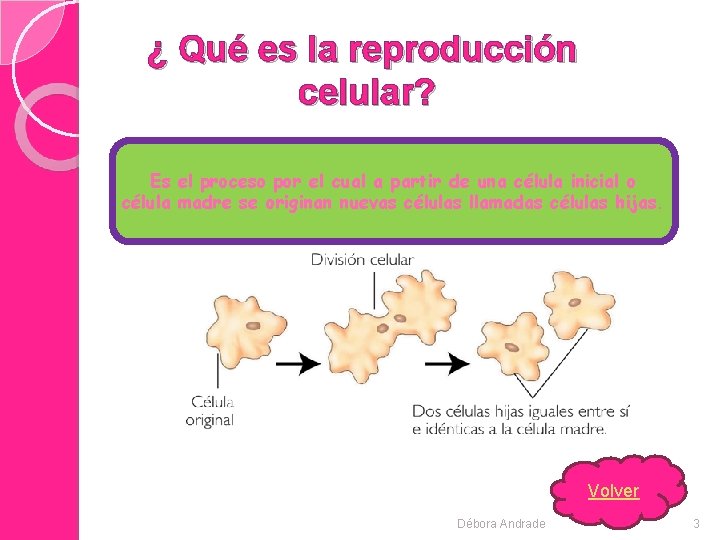 ¿ Qué es la reproducción celular? Es el proceso por el cual a partir