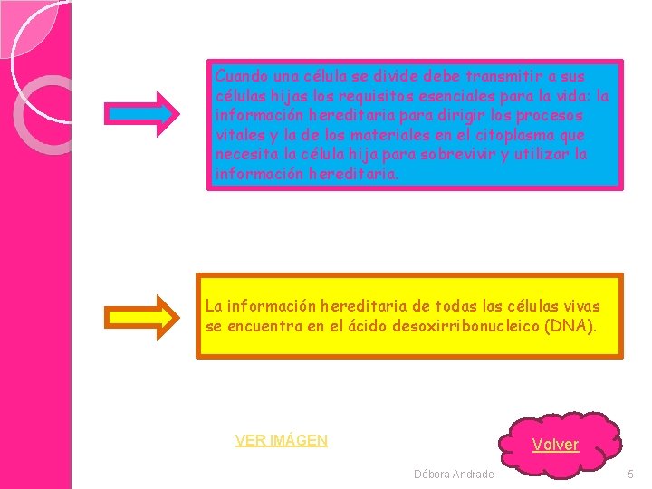 Cuando una célula se divide debe transmitir a sus células hijas los requisitos esenciales