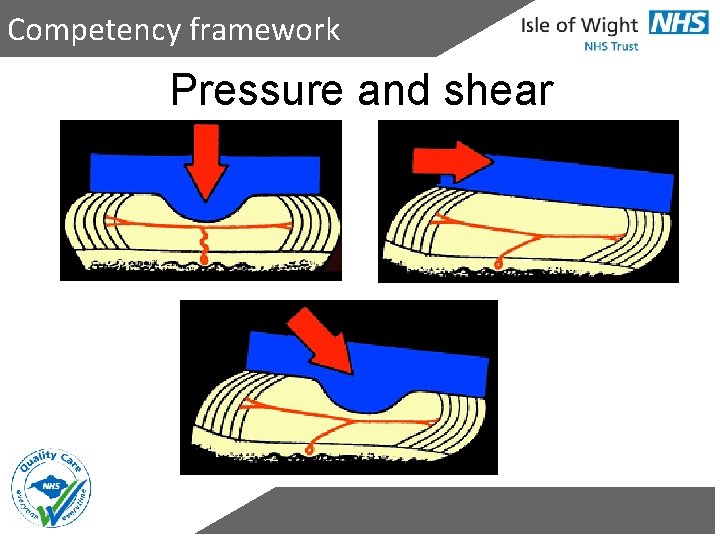 Competency framework Pressure and shear 