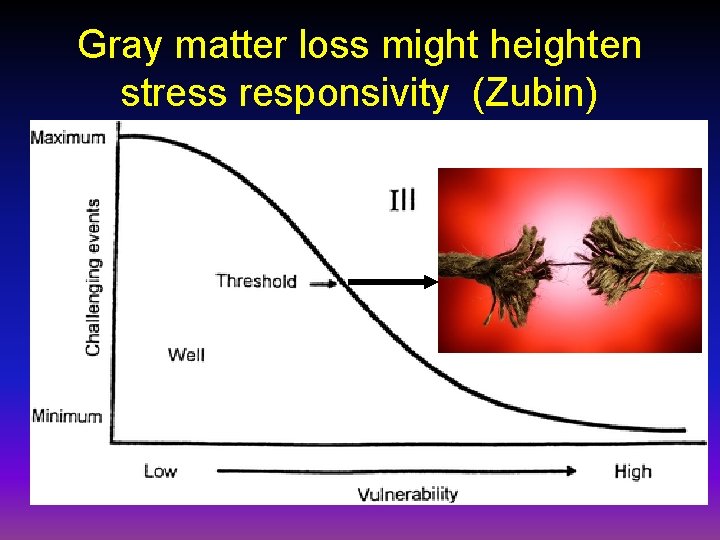 Gray matter loss might heighten stress responsivity (Zubin) 