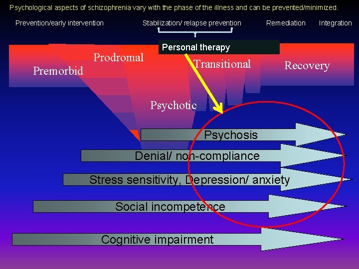 Psychological aspects of schizophrenia vary with the phase of the illness and can be