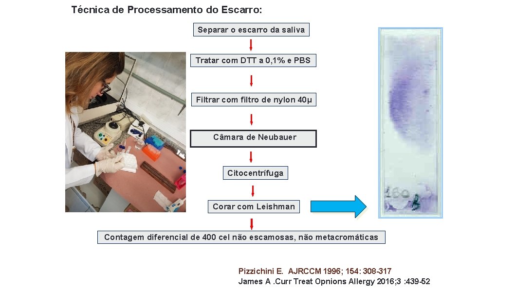 Técnica de Processamento do Escarro: Separar o escarro da saliva Tratar com DTT a