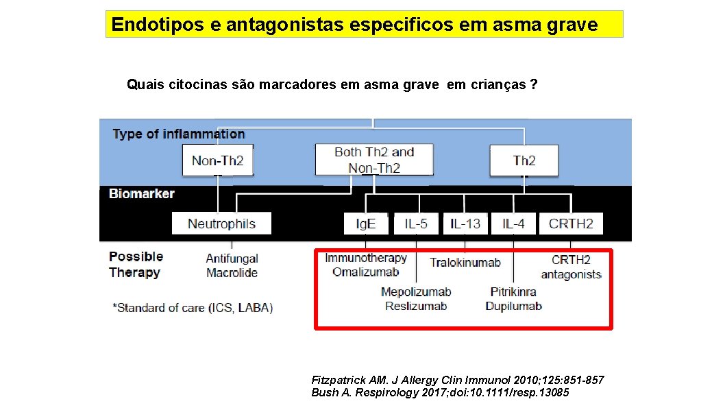 Endotipos e antagonistas especificos em asma grave Quais citocinas são marcadores em asma grave