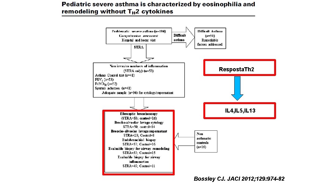 Resposta. Th 2 IL 4, IL 5, IL 13 Bossley CJ. JACI 2012; 129: