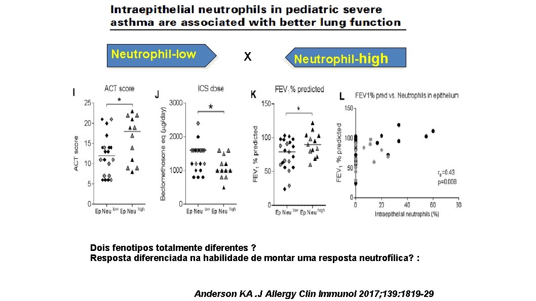 Neutrophil-low X Neutrophil-high Dois fenotipos totalmente diferentes ? Resposta diferenciada na habilidade de montar