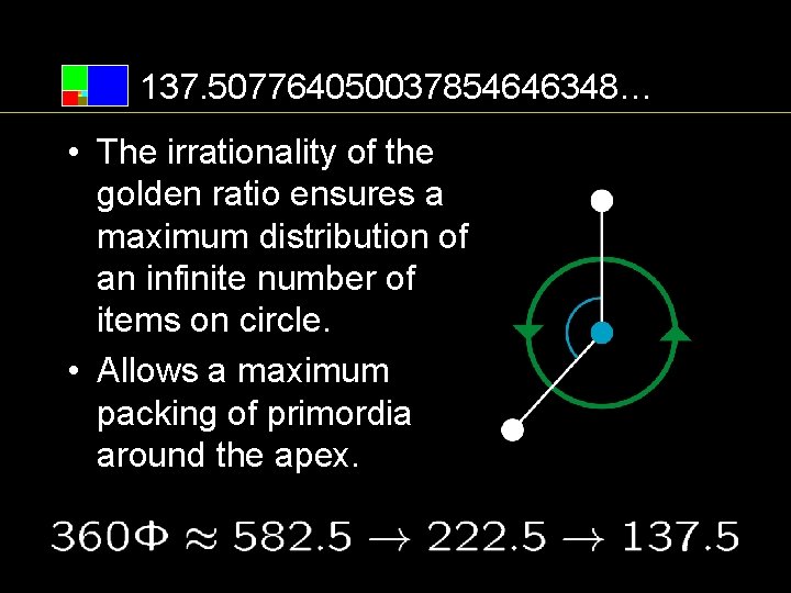 137. 507764050037854646348… • The irrationality of the golden ratio ensures a maximum distribution of