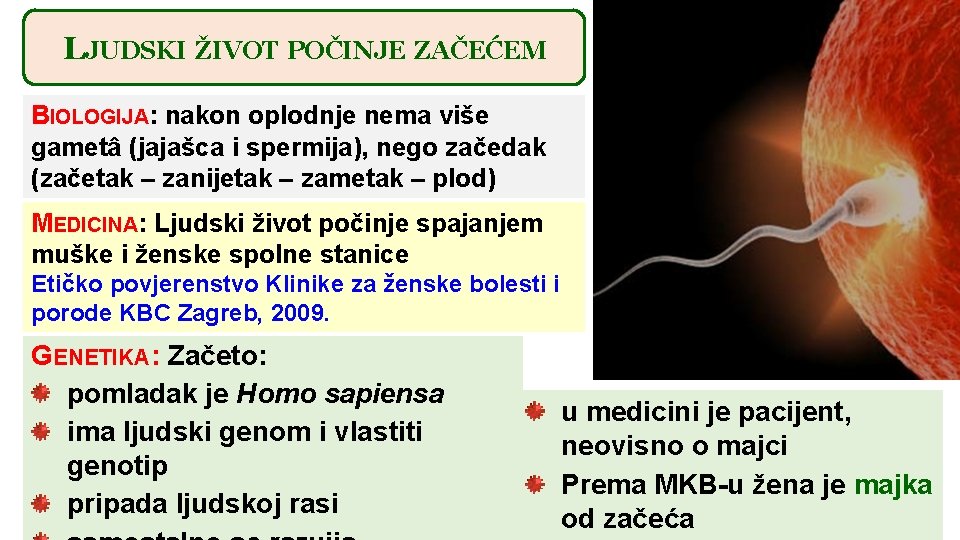 LJUDSKI ŽIVOT POČINJE ZAČEĆEM BIOLOGIJA: nakon oplodnje nema više gametâ (jajašca i spermija), nego