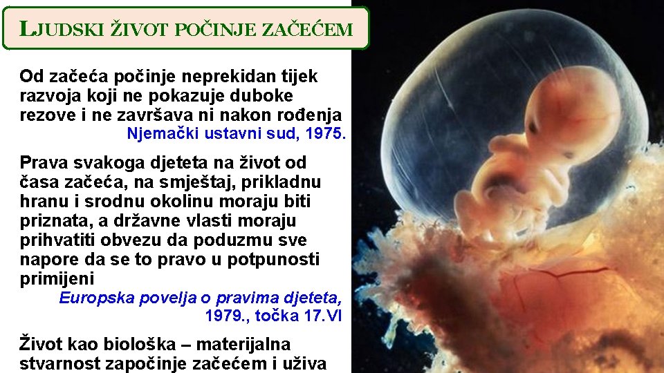 LJUDSKI ŽIVOT POČINJE ZAČEĆEM Od začeća počinje neprekidan tijek razvoja koji ne pokazuje duboke