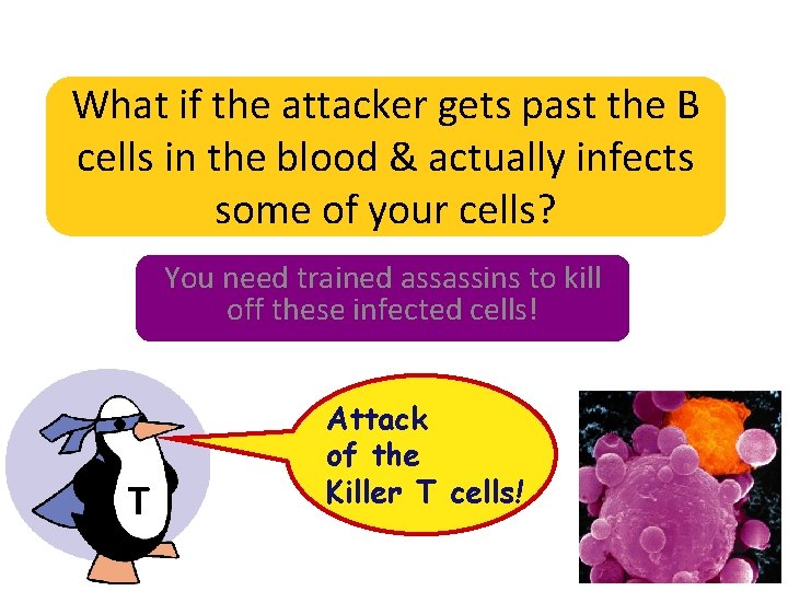 What if the attacker gets past the B cells in the blood & actually