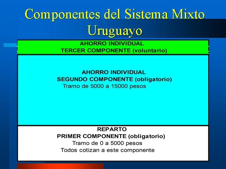 Componentes del Sistema Mixto Uruguayo 