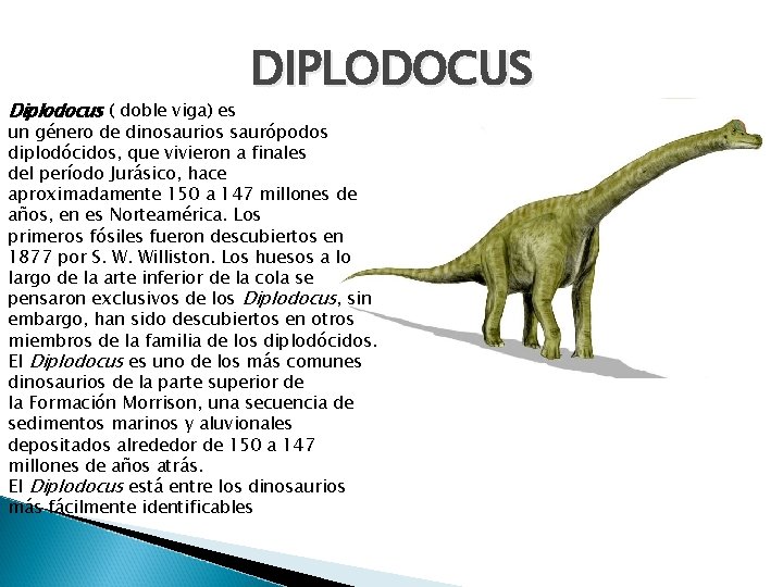 Diplodocus ( doble viga) es DIPLODOCUS un género de dinosaurios saurópodos diplodócidos, que vivieron