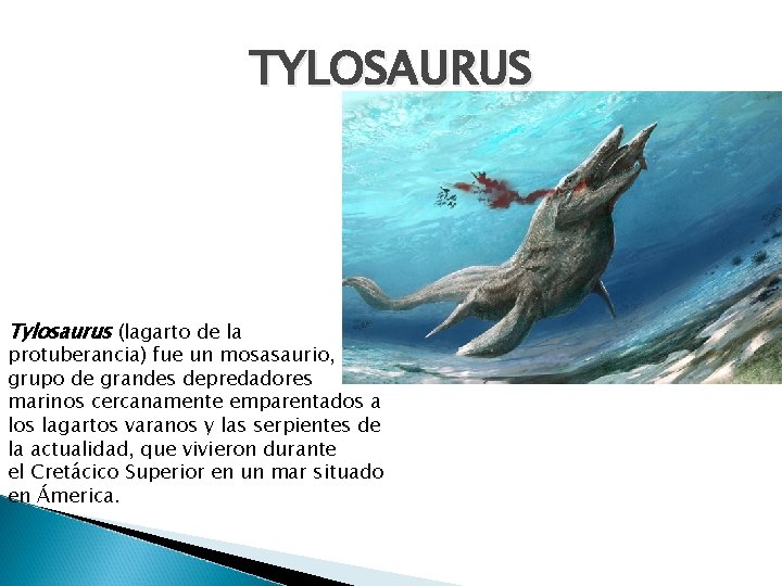 TYLOSAURUS Tylosaurus (lagarto de la protuberancia) fue un mosasaurio, grupo de grandes depredadores marinos