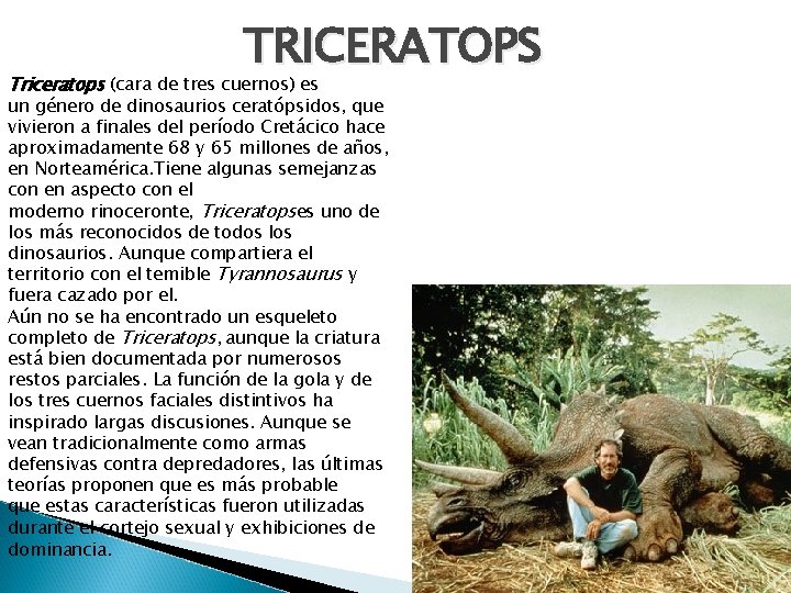 TRICERATOPS Triceratops (cara de tres cuernos) es un género de dinosaurios ceratópsidos, que vivieron