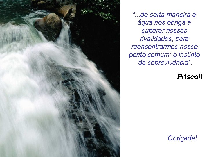 “. . . de certa maneira a água nos obriga a superar nossas rivalidades,