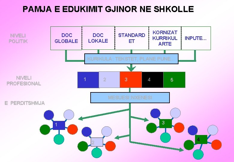 PAMJA E EDUKIMIT GJINOR NE SHKOLLE NIVELI POLITIK DOC LOKALE DOC GLOBALE KORNIZAT KURRIKUL