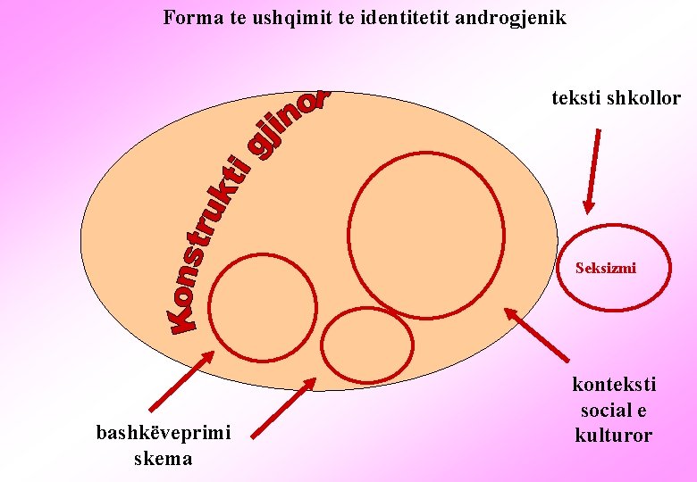 Forma te ushqimit te identitetit androgjenik teksti shkollor Seksizmi bashkëveprimi skema konteksti social e