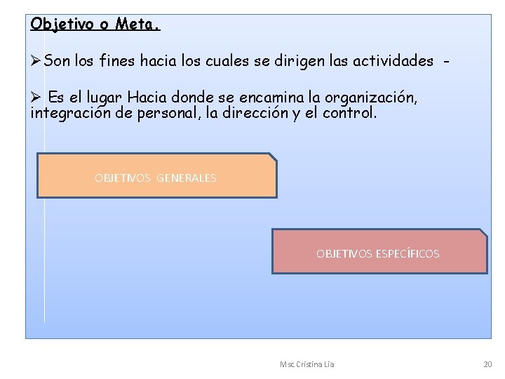 Objetivo o Meta. ØSon los fines hacia los cuales se dirigen las actividades Ø