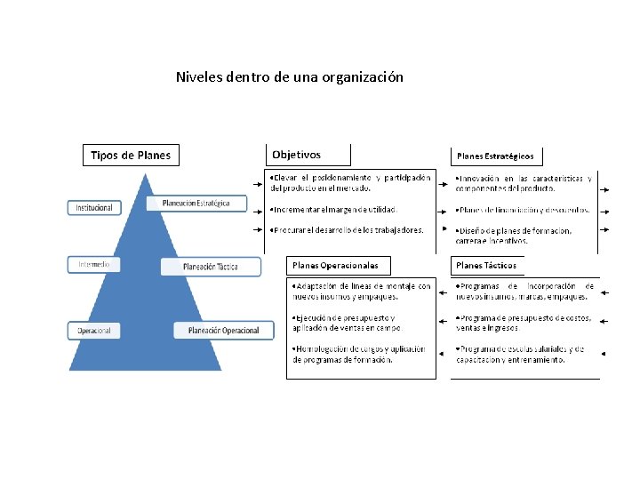 Niveles dentro de una organización 