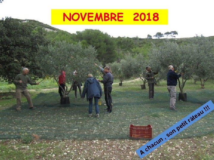 NOVEMBRE 2018 ! ! u ! a e t â r t ti o