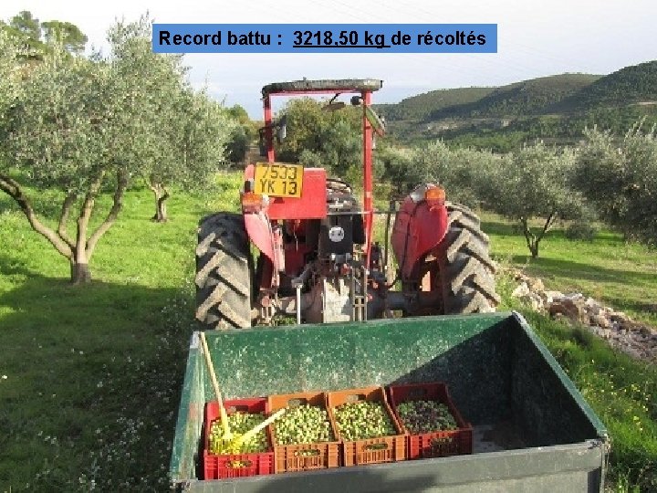 Record battu : 3218, 50 kg de récoltés 