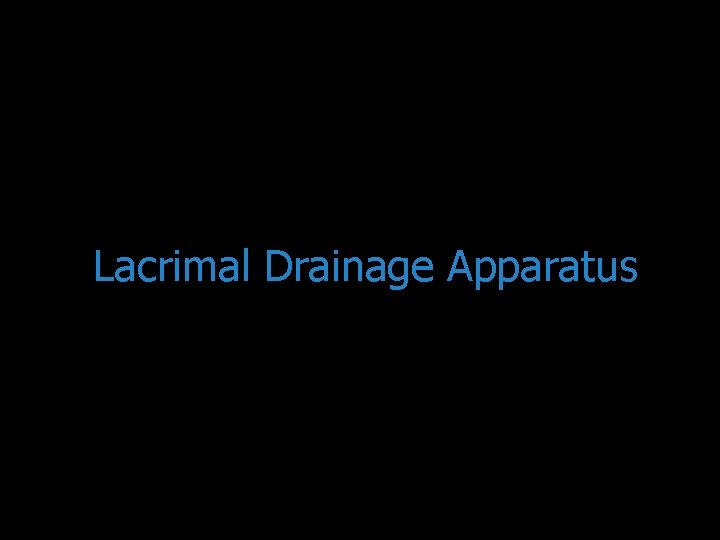 Lacrimal Drainage Apparatus 