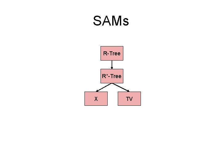 SAMs R-Tree R*-Tree X TV 