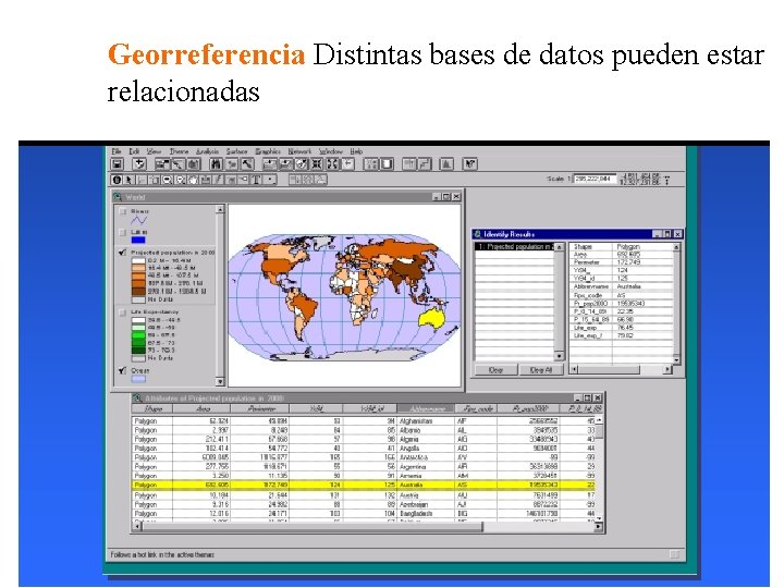 Georreferencia Distintas bases de datos pueden estar relacionadas 