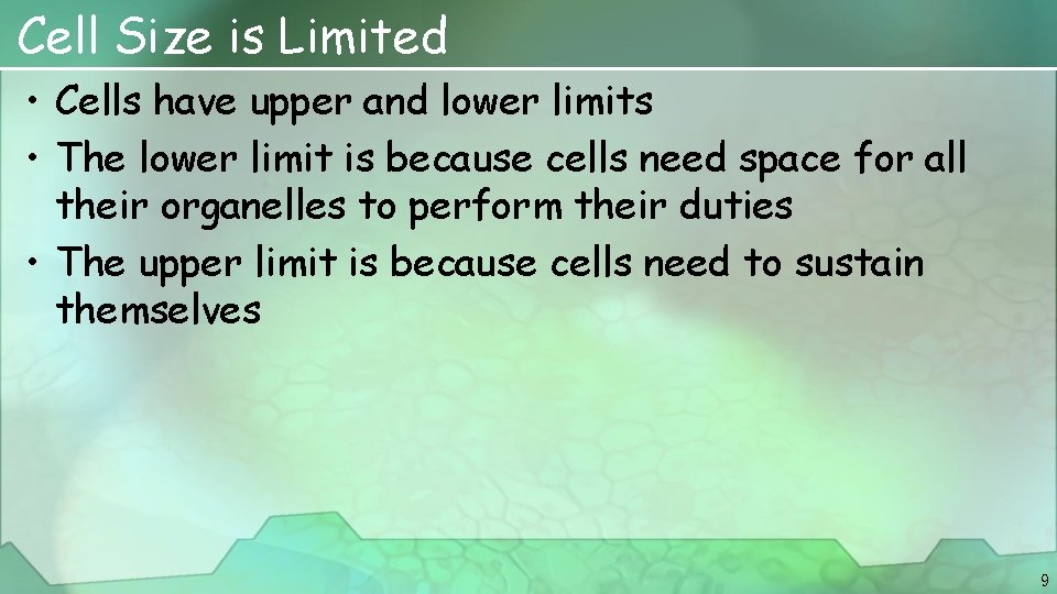 Cell Size is Limited • Cells have upper and lower limits • The lower