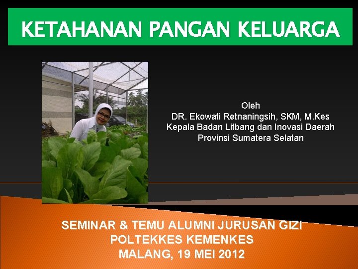 KETAHANAN PANGAN KELUARGA Oleh DR. Ekowati Retnaningsih, SKM, M. Kes Kepala Badan Litbang dan