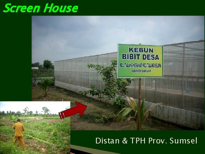 Screen House Distan & TPH Prov. Sumsel 