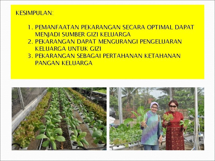 KESIMPULAN: 1. PEMANFAATAN PEKARANGAN SECARA OPTIMAL DAPAT MENJADI SUMBER GIZI KELUARGA 2. PEKARANGAN DAPAT