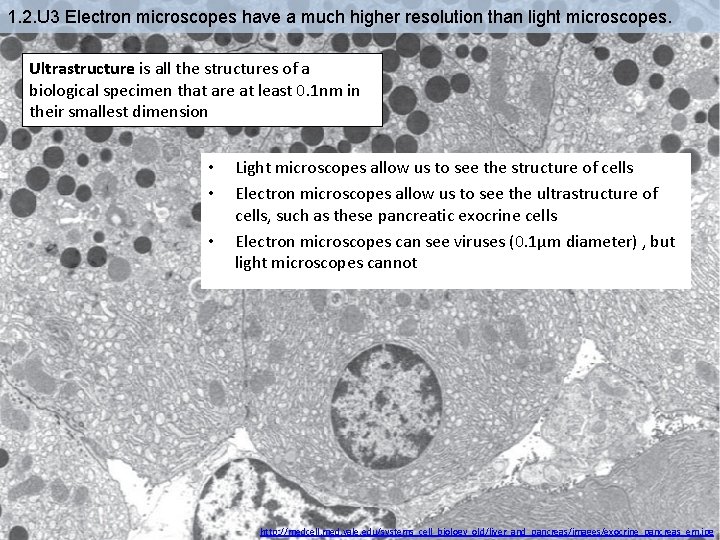 1. 2. U 3 Electron microscopes have a much higher resolution than light microscopes.