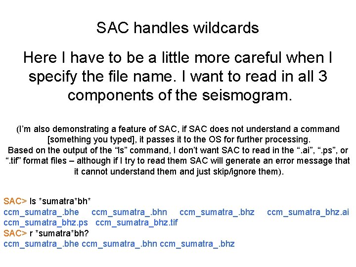 SAC handles wildcards Here I have to be a little more careful when I