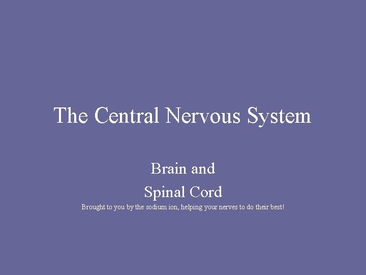 The Central Nervous System Brain and Spinal Cord Brought to you by the sodium