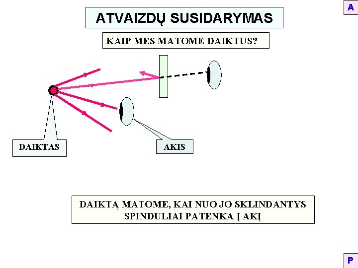 ATVAIZDŲ SUSIDARYMAS A KAIP MES MATOME DAIKTUS? DAIKTAS AKIS DAIKTĄ MATOME, KAI NUO JO