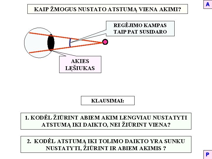KAIP ŽMOGUS NUSTATO ATSTUMĄ VIENA AKIMI? A REGĖJIMO KAMPAS TAIP PAT SUSIDARO AKIES LĘŠIUKAS