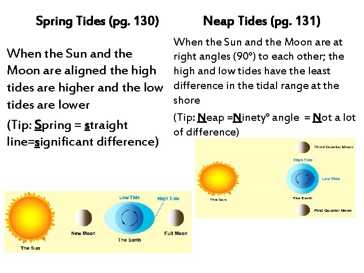 Spring Tides (pg. 130) Neap Tides (pg. 131) When the Sun and the Moon