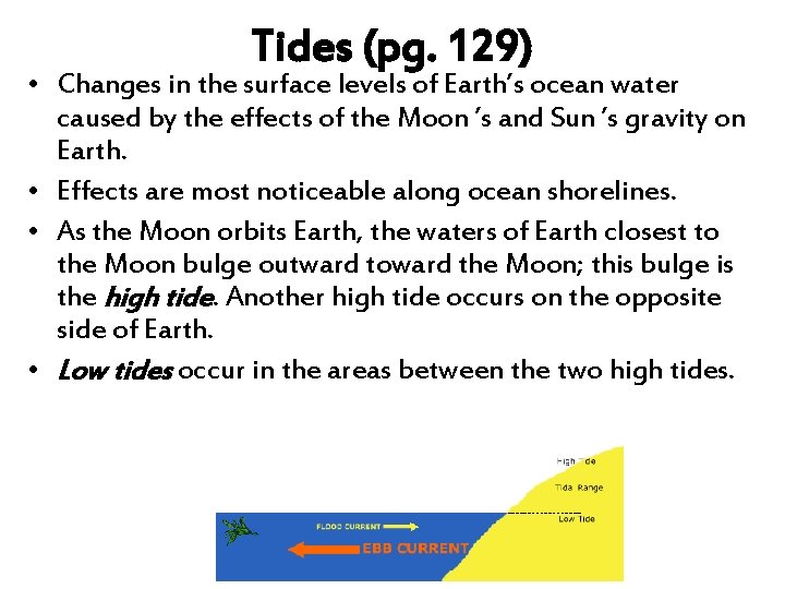 Tides (pg. 129) • Changes in the surface levels of Earth’s ocean water caused