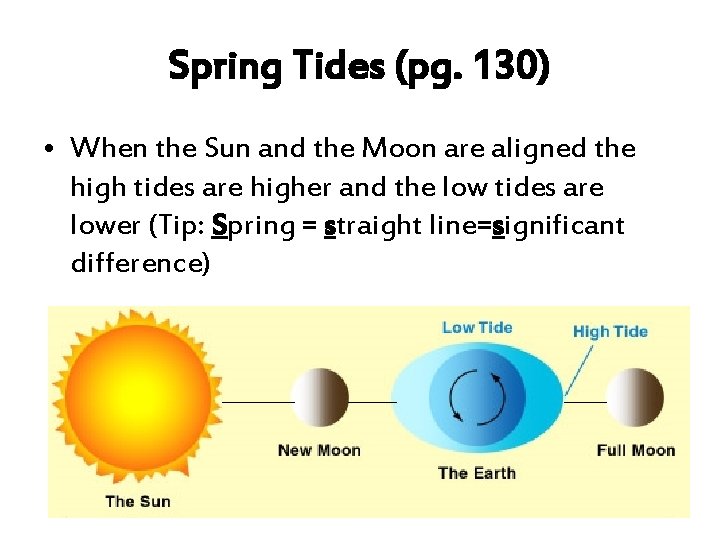 Spring Tides (pg. 130) • When the Sun and the Moon are aligned the