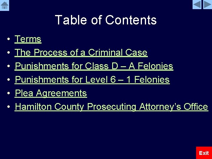 Table of Contents • • • Terms The Process of a Criminal Case Punishments
