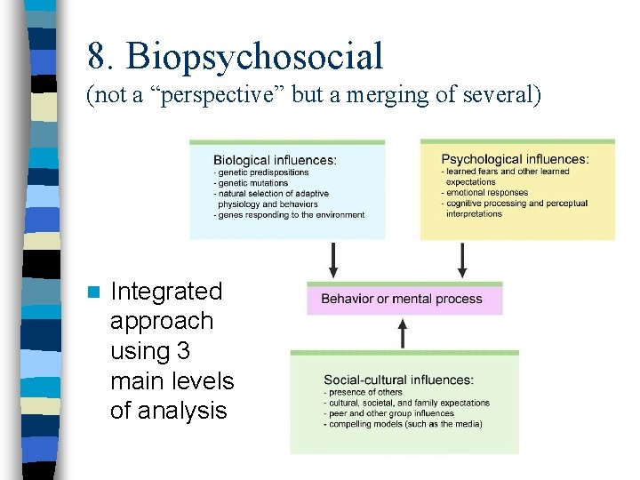 8. Biopsychosocial (not a “perspective” but a merging of several) n Integrated approach using