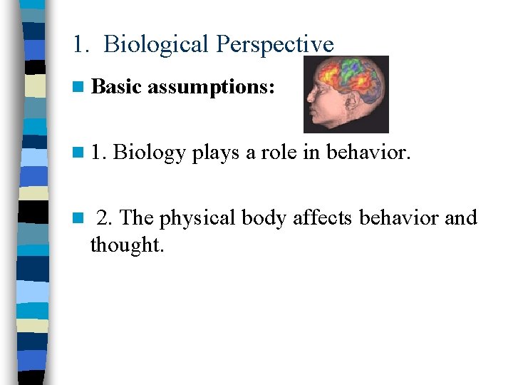 1. Biological Perspective n Basic assumptions: n 1. Biology plays a role in behavior.